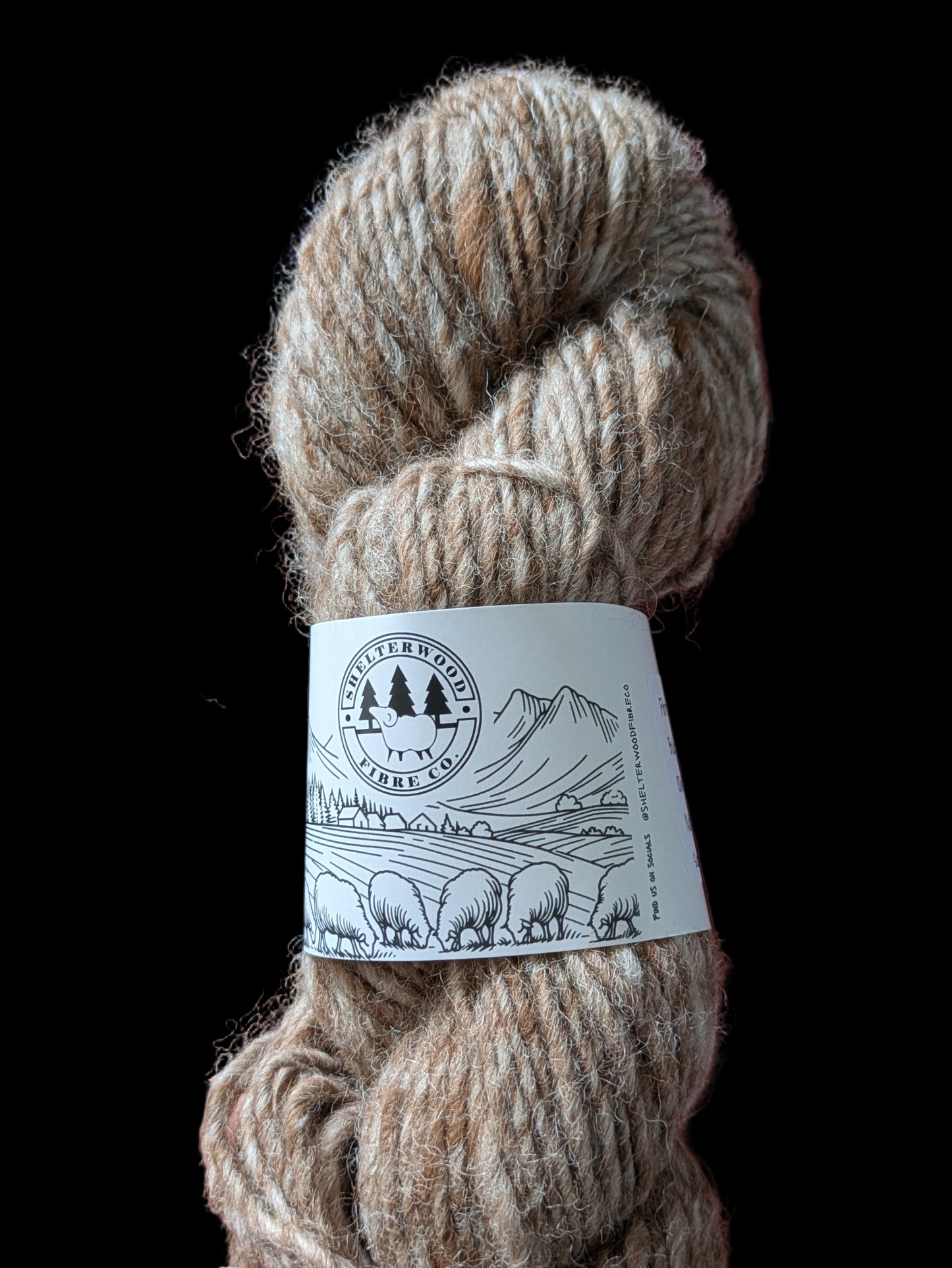 Romney /Alpaca/Rambouillet - Lopi style - Bulky